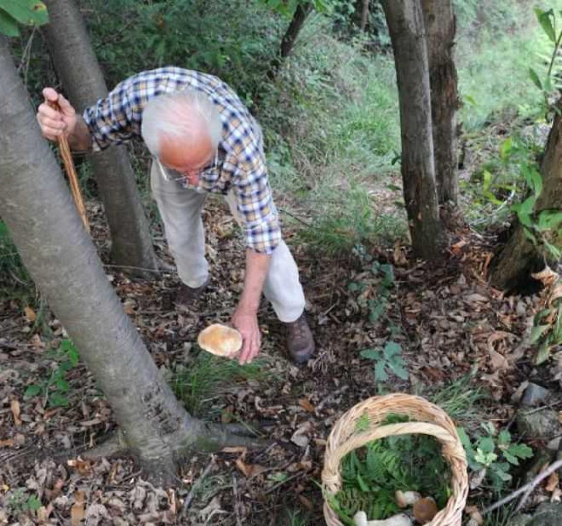 Trausella, cercatore di funghi soccorso sui boschi di Cima Bossola