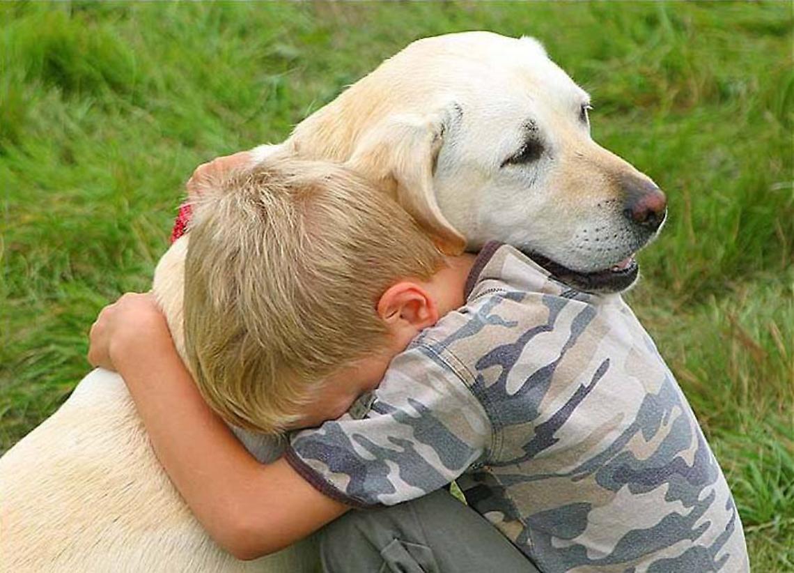 IVREA. La pandemia coinvolge anche cani e gatti. L’appello di Eporedia: “Non abbandonateli”