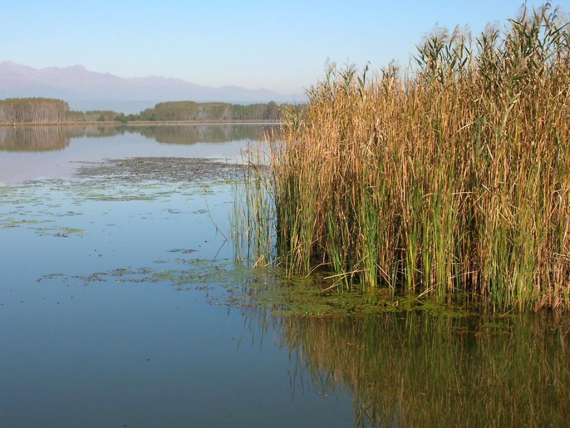 Lago di Candia