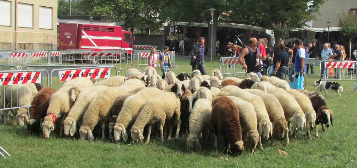 Successo per lo Stember al Zerb