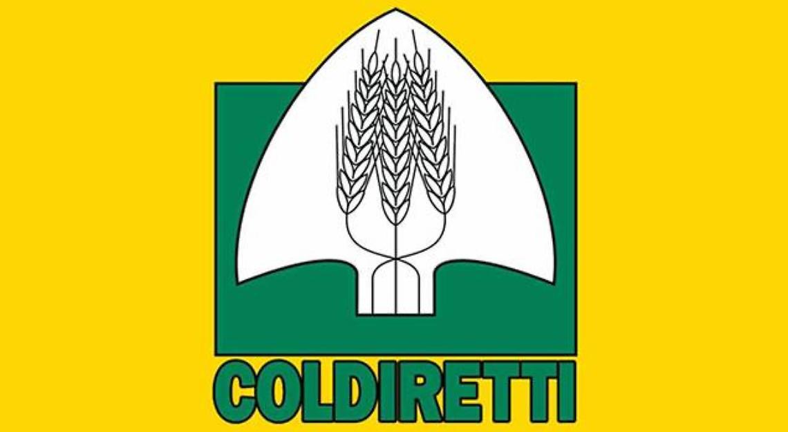 ASTI. Vino: Coldiretti, Barbera d'Asti docg, 2019 annata da oscar