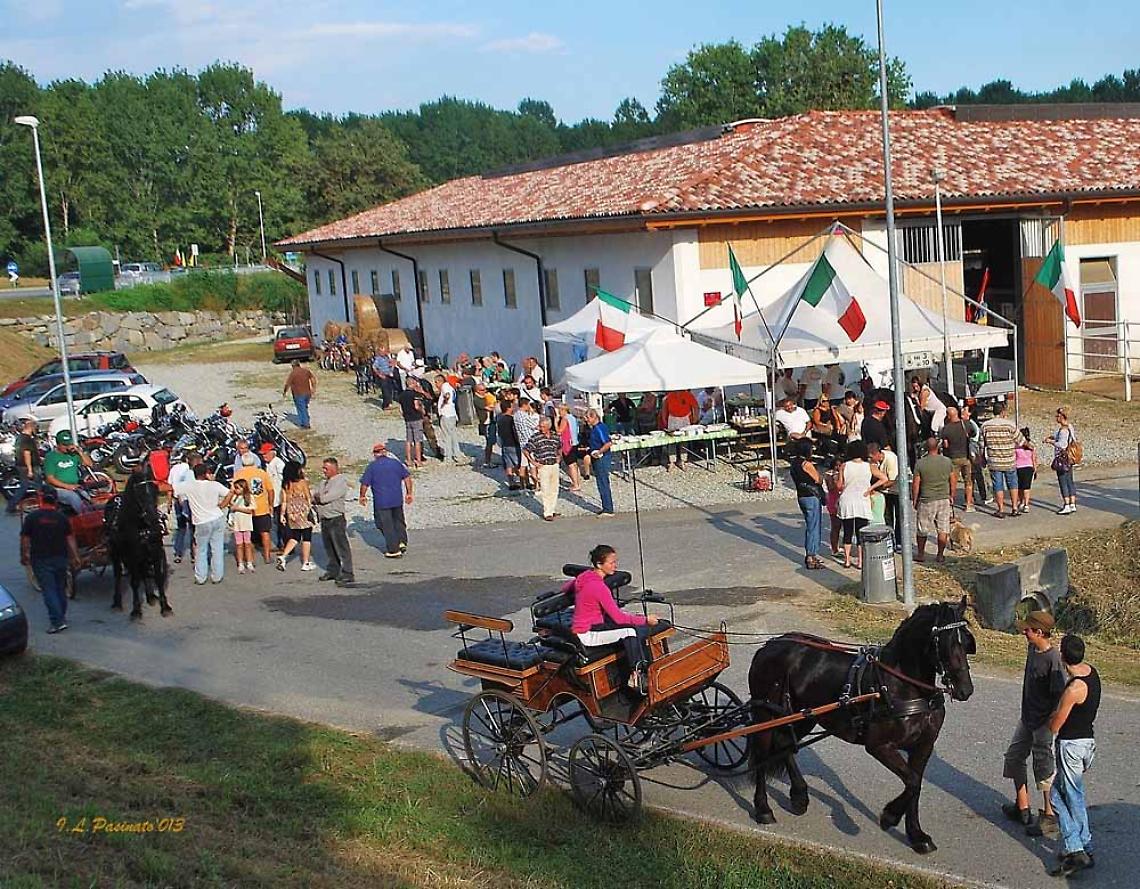 Splendido "Settembre Pavonese"