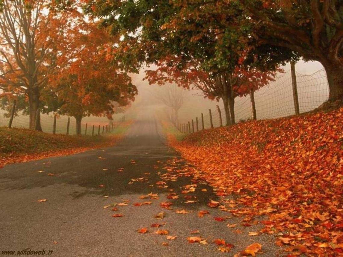 FAVRIA. Festa d'autunno