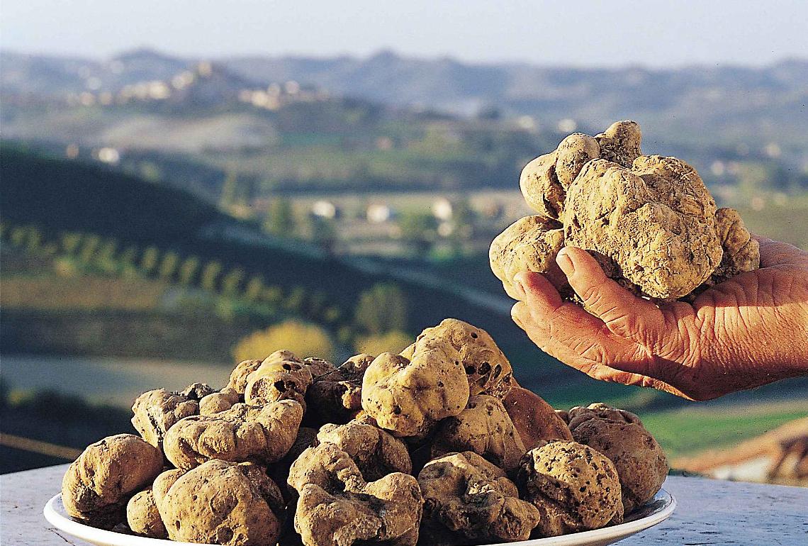 ALBA. Alimentare: Mipaaf a Fiera Tartufo, promuove eccellenze