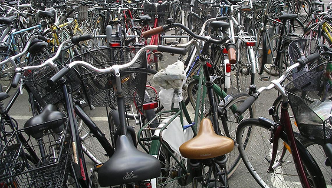 CUNEO. Precipita in un dirupo con la bici, un morto