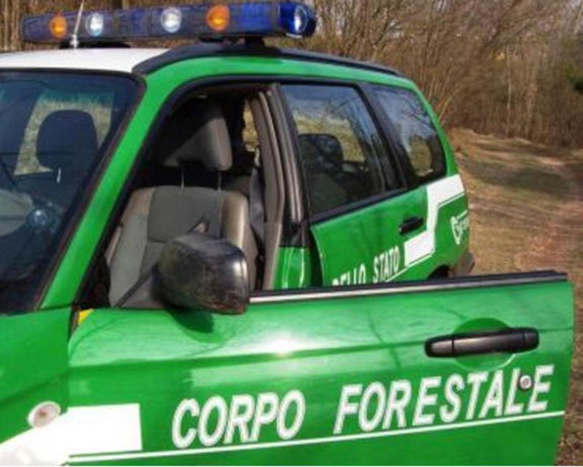 Orio Canavese