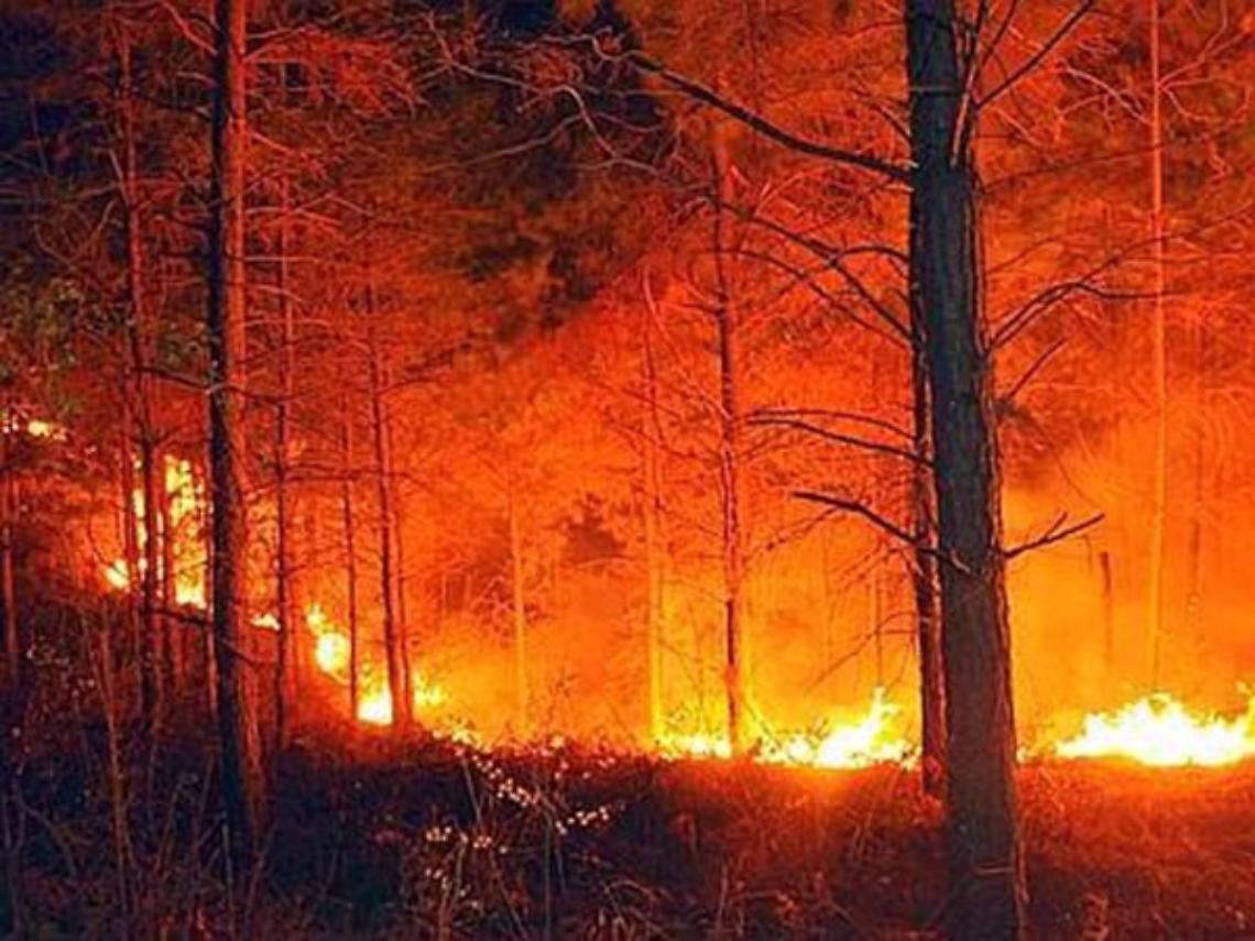 ROMA. Incendi: ancora fiamme in Sicilia, vertice a Roma