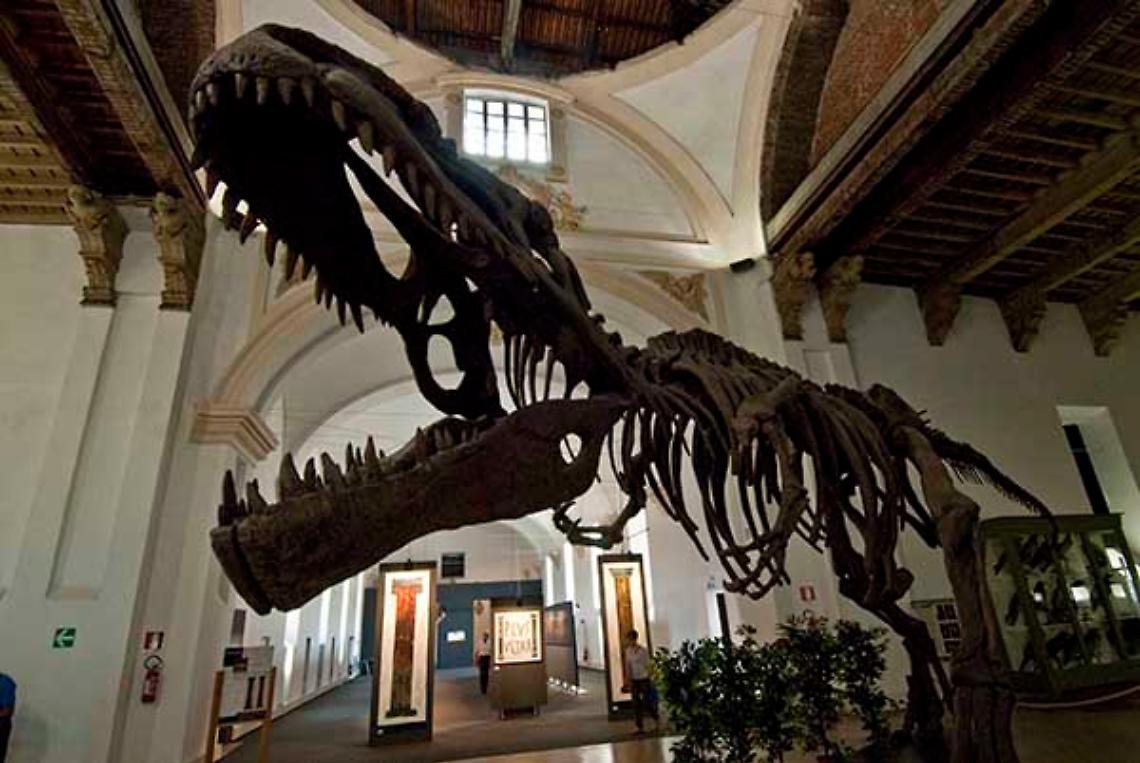 TORINO. Oltre 4.000 visitatori per "DomenicaalMuseo"