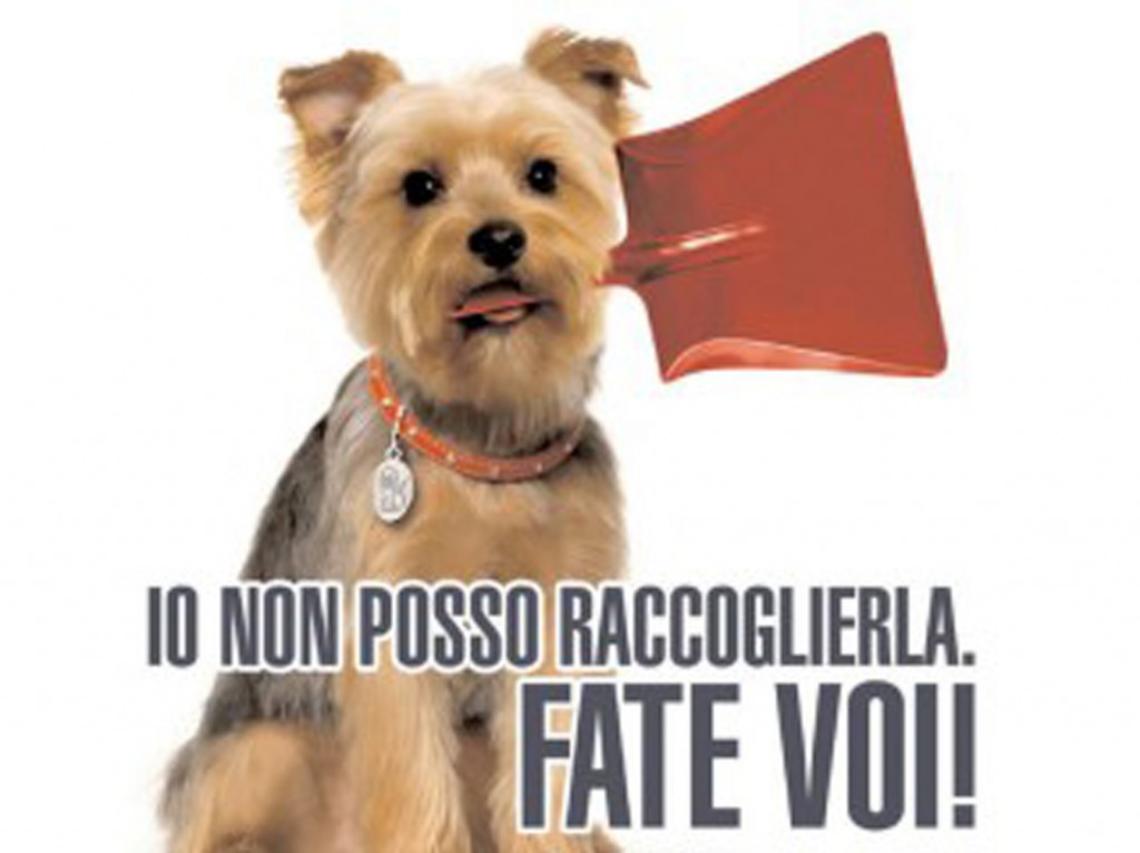 NOLE. "C'è un progetto per l'area cani", la promessa del sindaco Bertino.