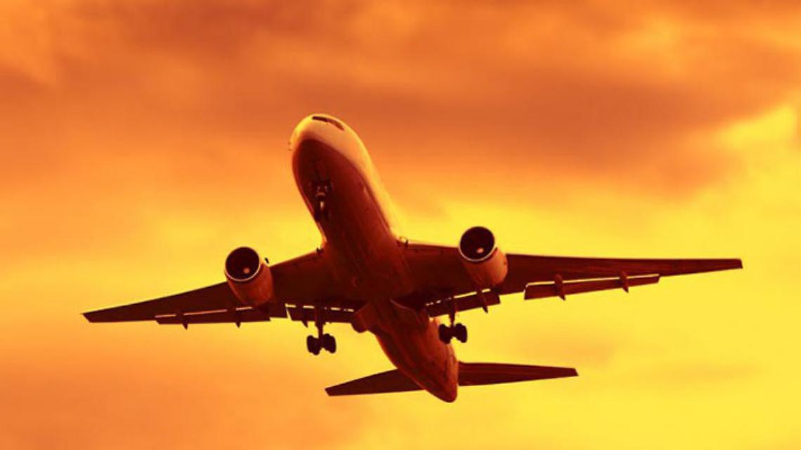 "Il rischio zero sul bird strike? Impossibile": parla l'ex pilota