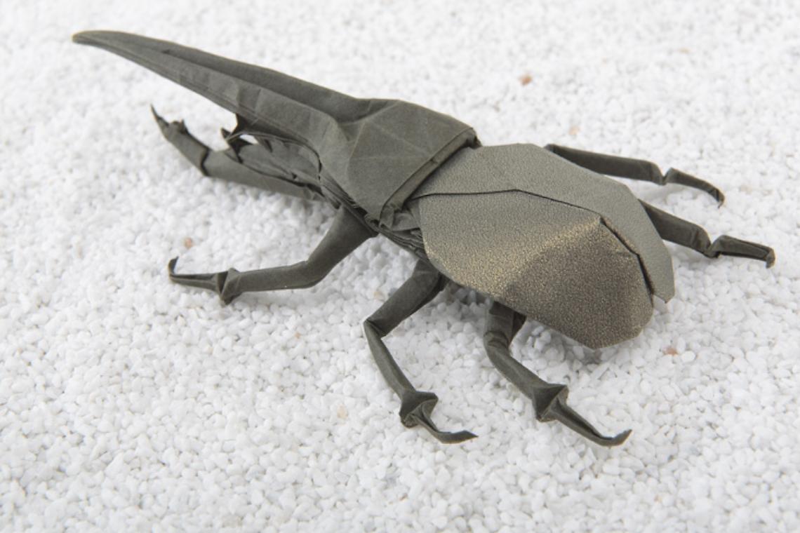 Origami