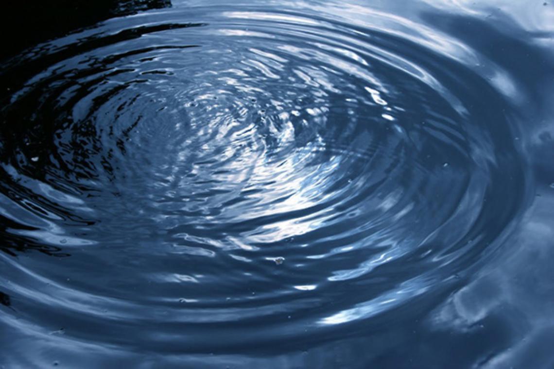 ROMA. Sos acqua di laghi e fiumi,64% contaminata da pesticidi