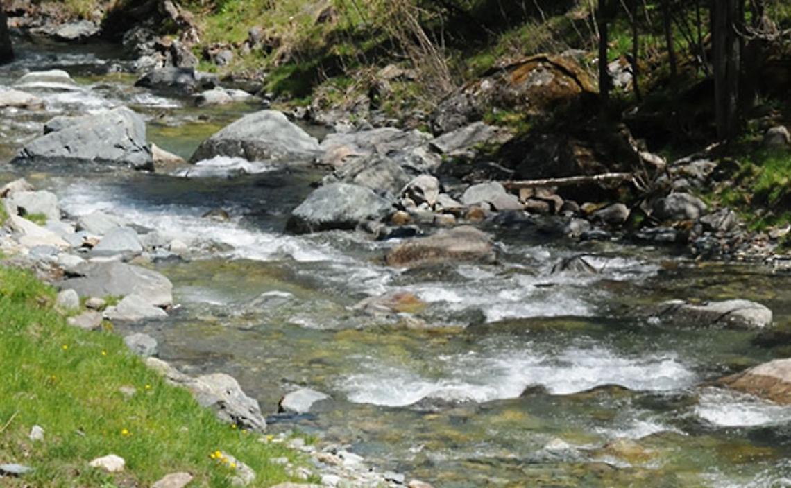 TORINO. Zone turistiche di pesca: novità e conferme