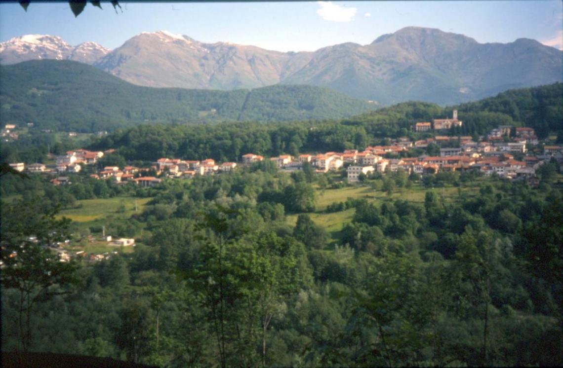ALICE SUPERIORE. Boninsegni contro Minellono