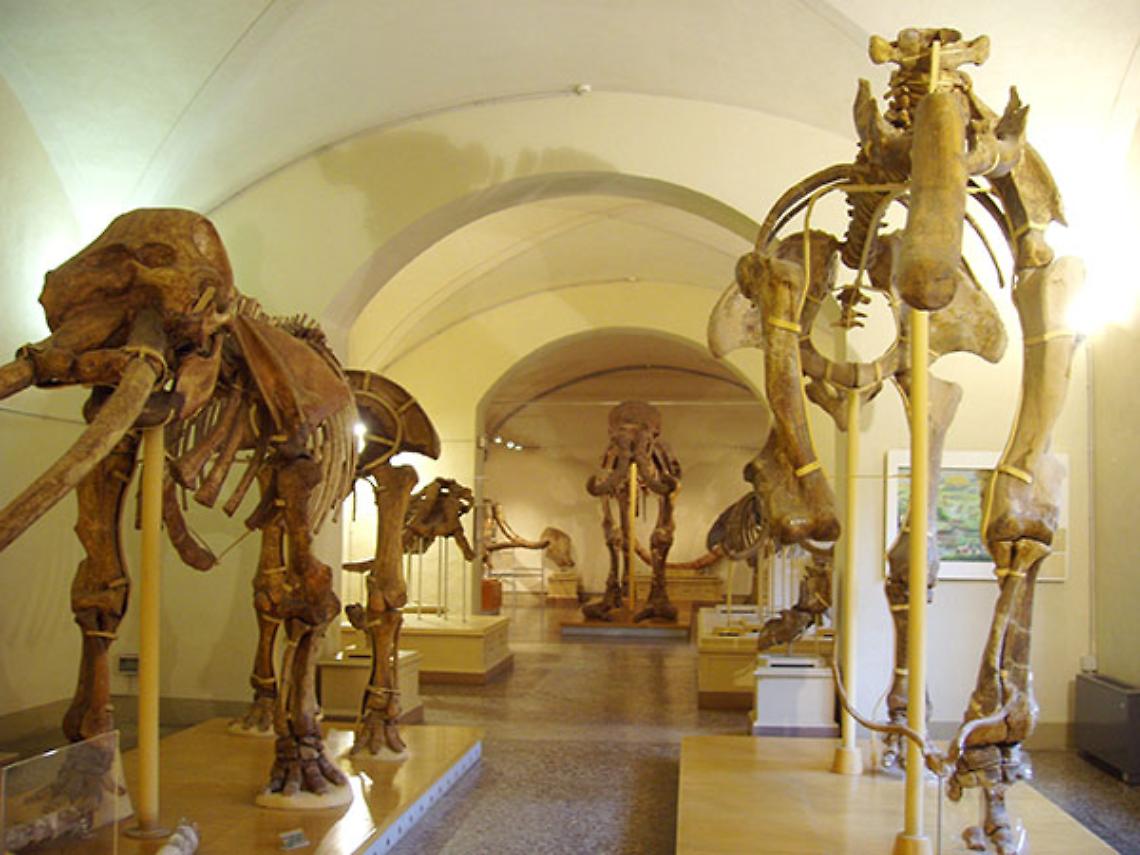 TORINO. Domenica ingressi gratis ai musei anche in Piemonte