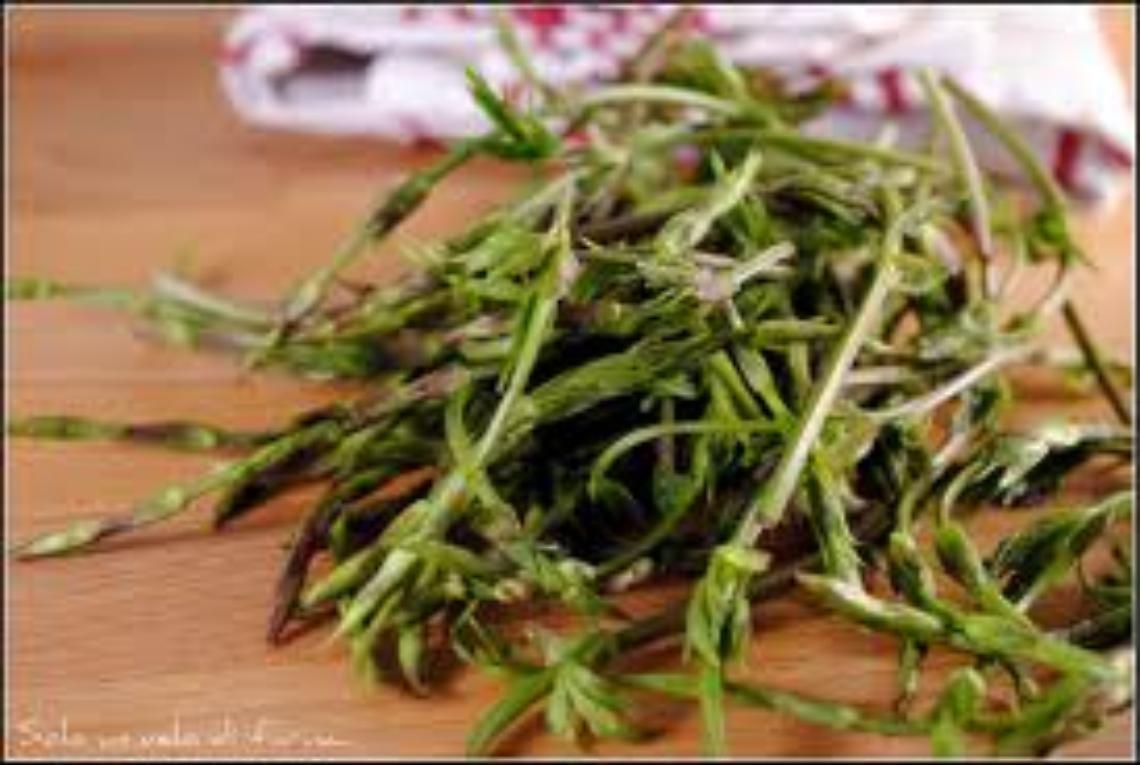 CUCEGLIO. Festa di primavera