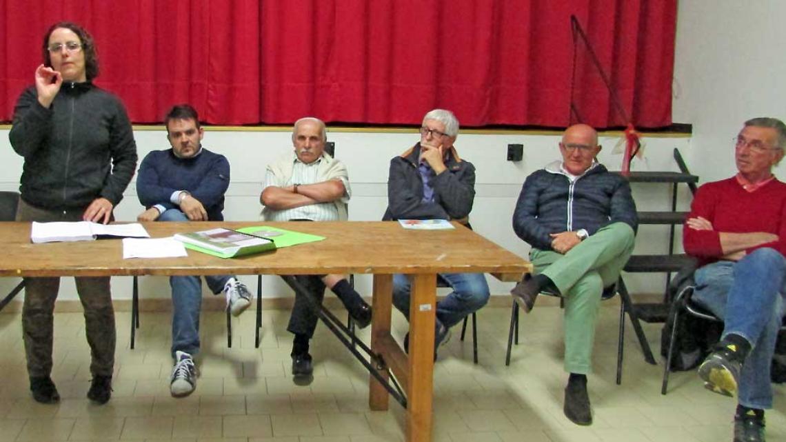 CICONIO. Tutti e 61 i platani sono malati. I risultati della relazione tecnica