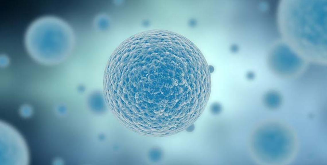TORINO. Tumori: melanoma in aumento in Italia, ma cala la mortalità