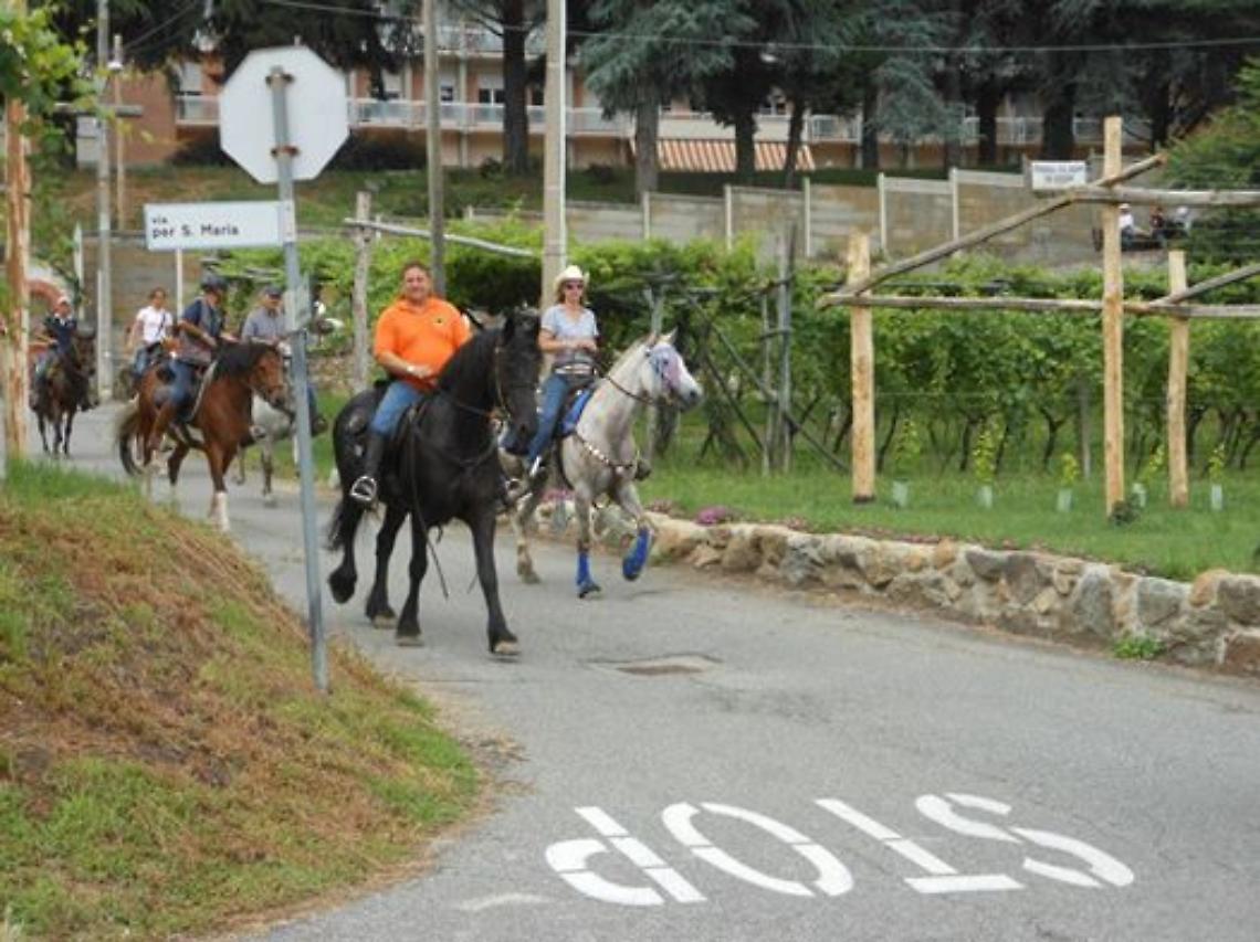 AGLIE'. Cavalieri a passeggio nei boschi alladiesi...