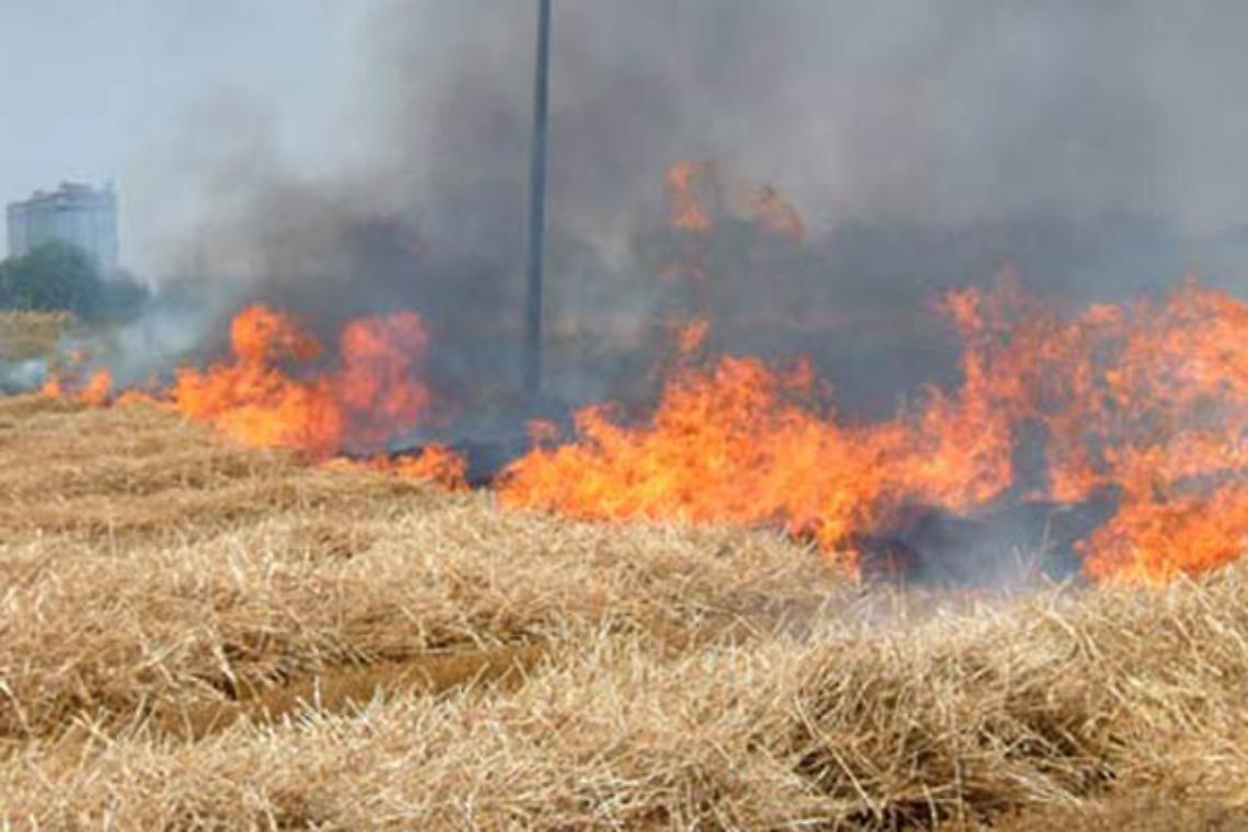 ALESSANDRIA. Incendi: roghi nell'Alessandrino sotto controllo