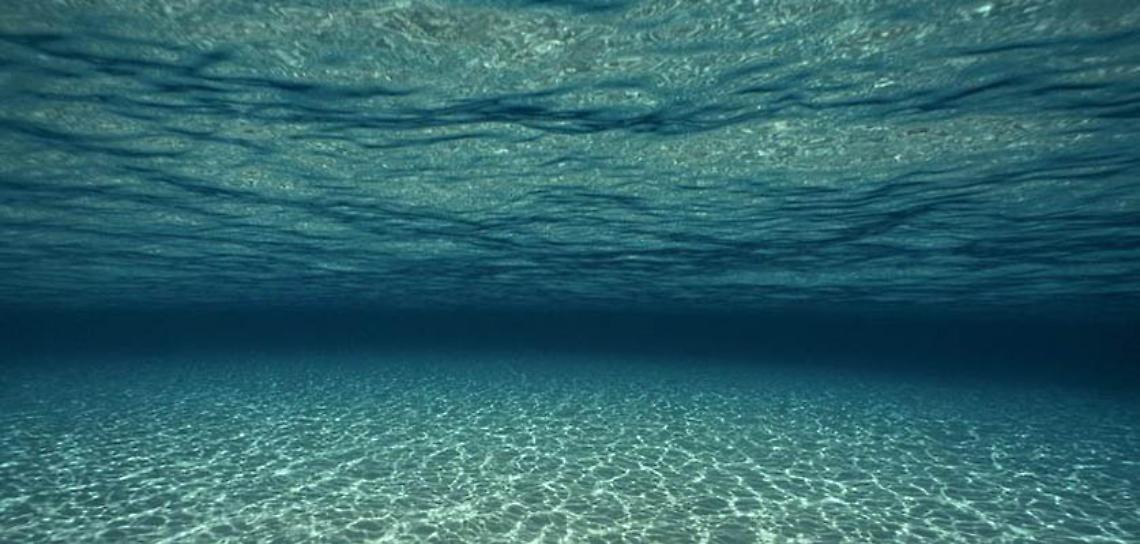 ROMA. L'Oceano è il grande malato, nel mondo 400 eventi per curarlo
