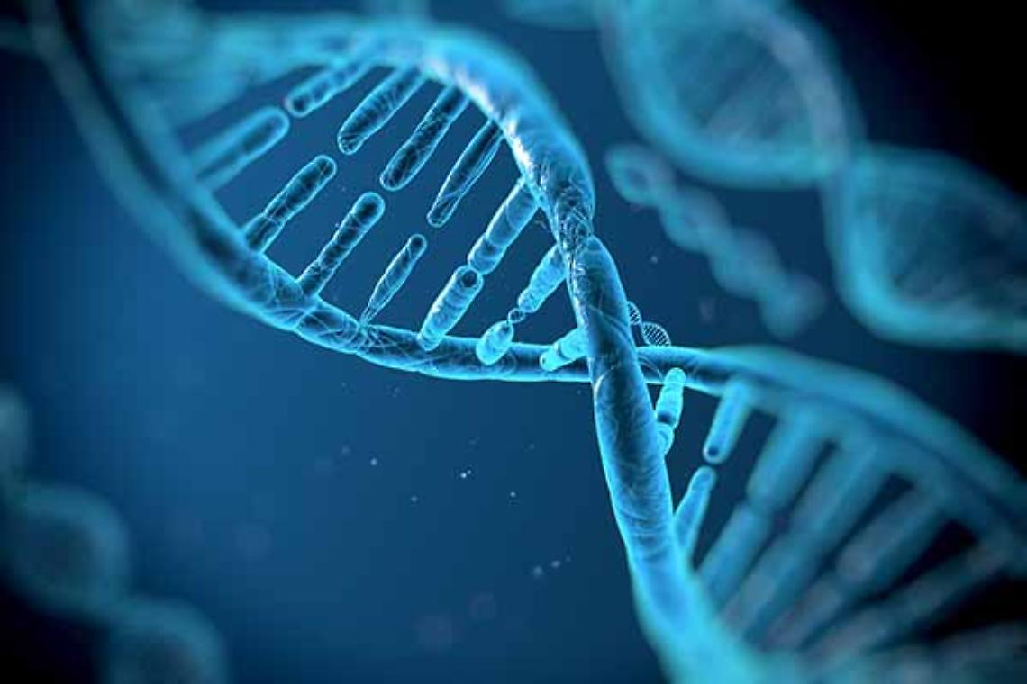 TORINO. Sanità: effetti inquinanti su Dna, ricerca su bambini