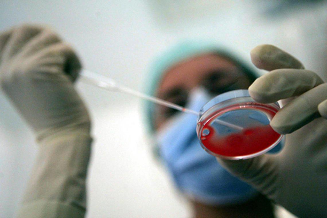 ROMA. Eterologa: Toscana, ticket max 500 euro e diagnosi preimpianto