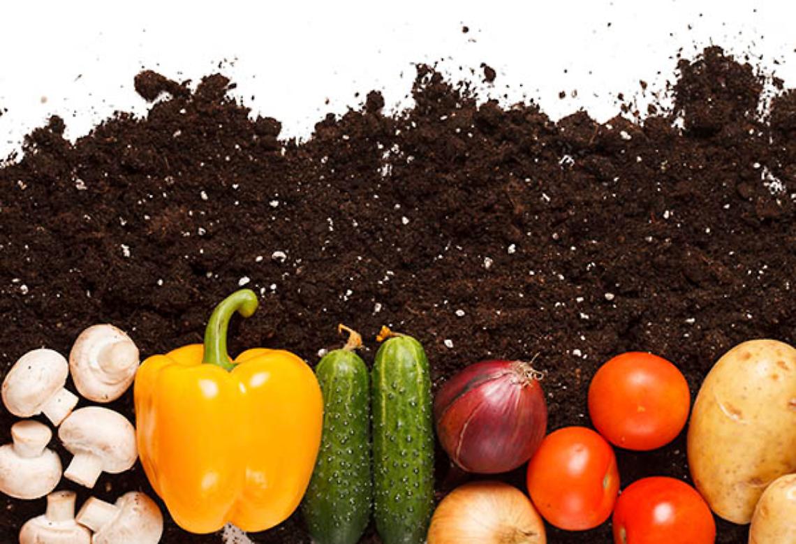 ROMA. Record antiossidanti in frutta e verdura bio