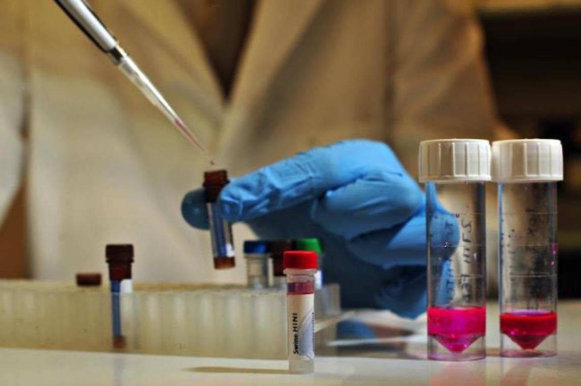 DOMODOSSOLA. Esame Dna su escrementi cani per multare i proprietari