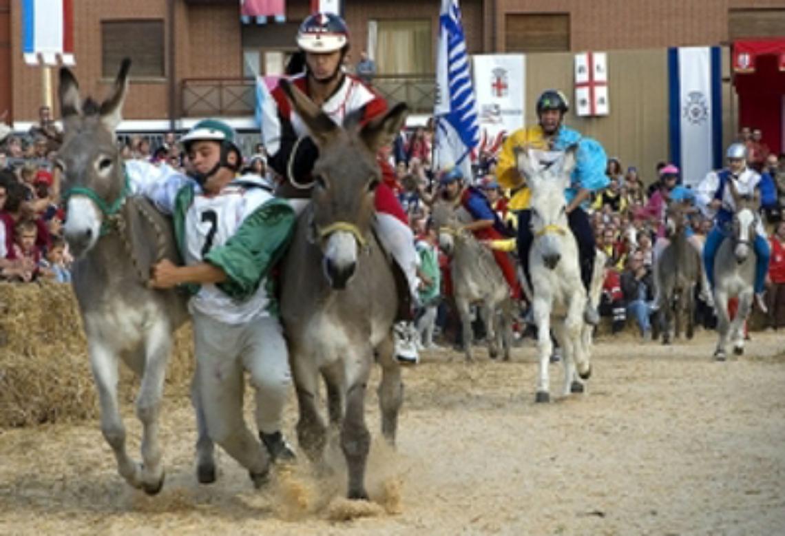 VERBANIA. A Varzo torna il Palio degli Asini...a due gambe!