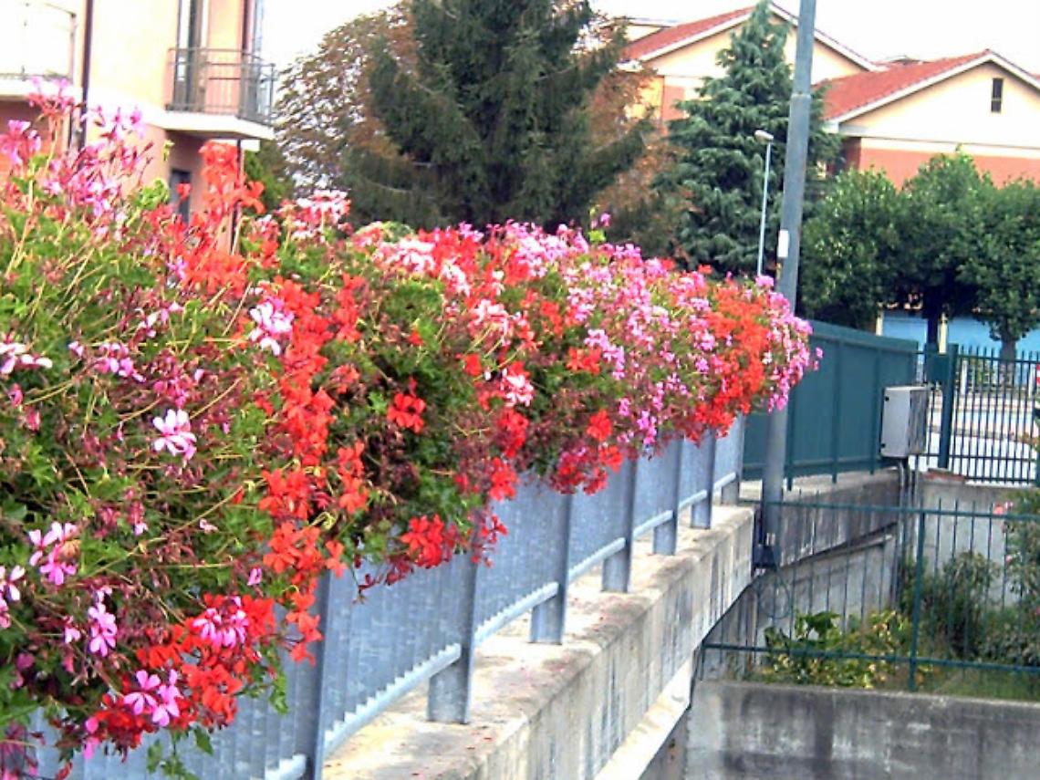 BRANDIZZO. Decoro urbano: Deluca interroga Buscaglia