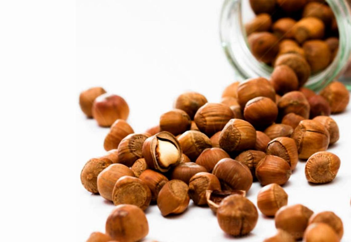 CUNEO. Furto milionario di nocciole igp, rubate 200 tonnellate
