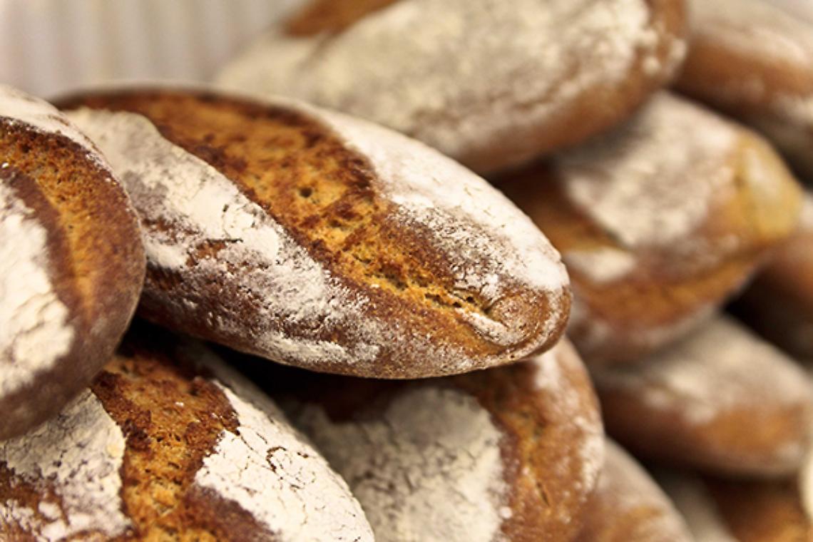 TORINO. 'Ricomincio dal pane', a scuola da mugnai e panificatori