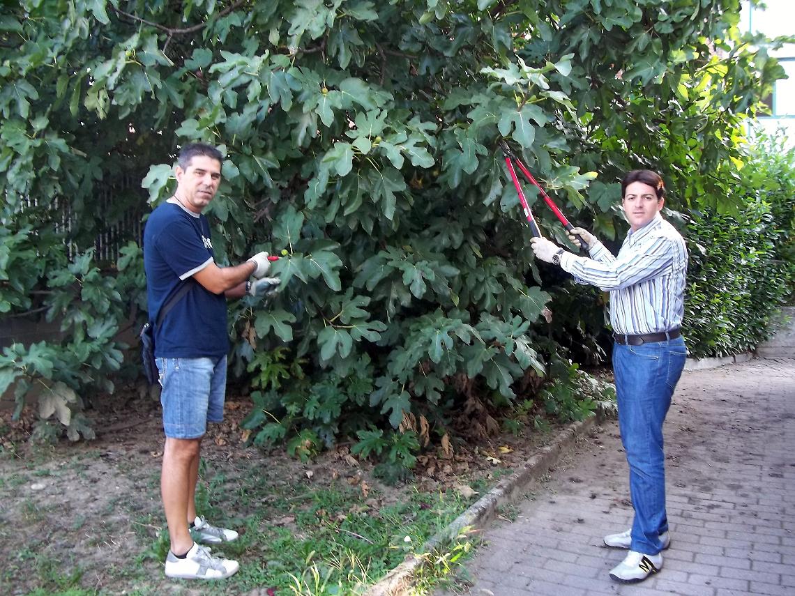 BRANDIZZO. Da consiglieri a giardinieri...