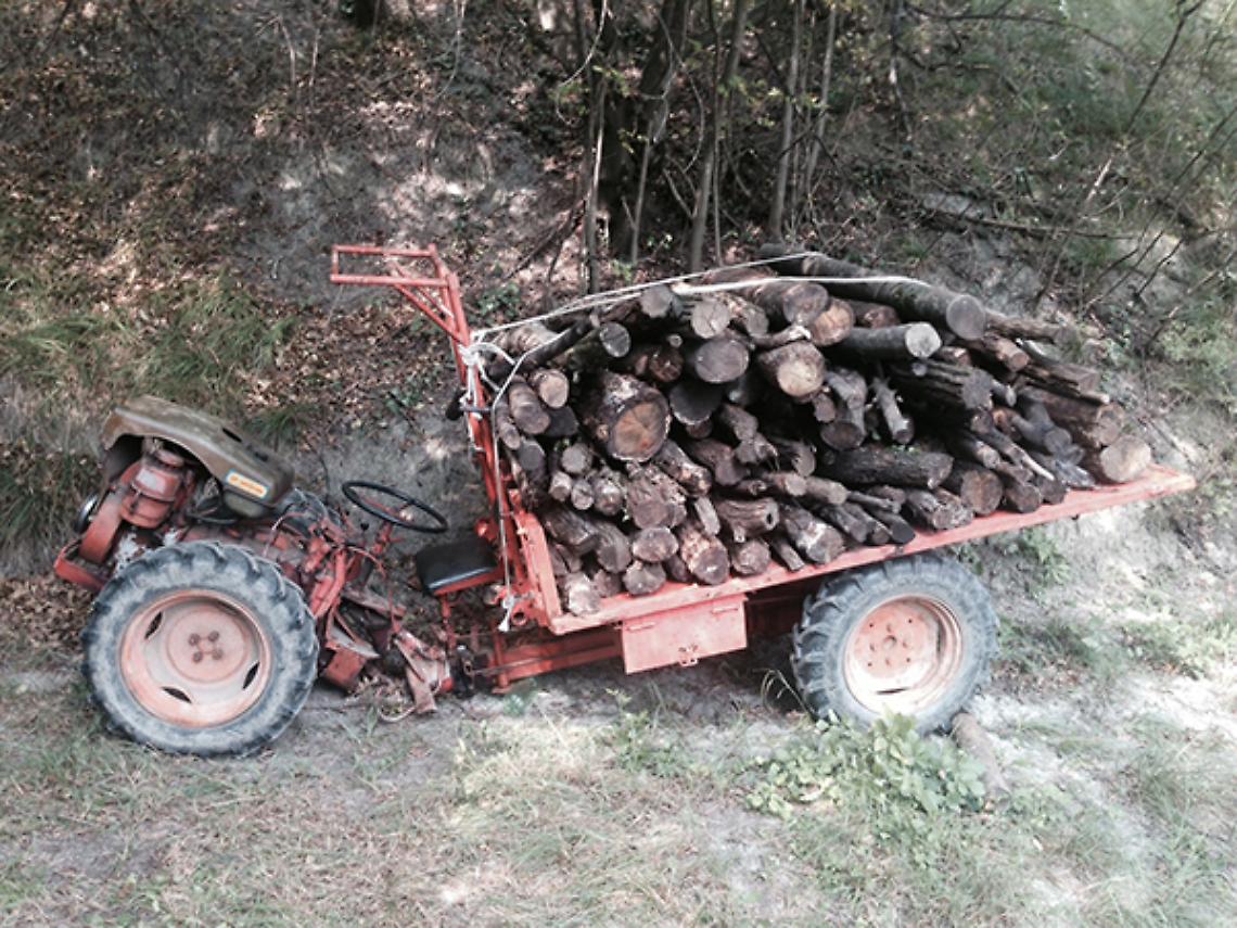 FORLI'. Crescono incidenti con trattori agricoli, 181 morti nel 2014