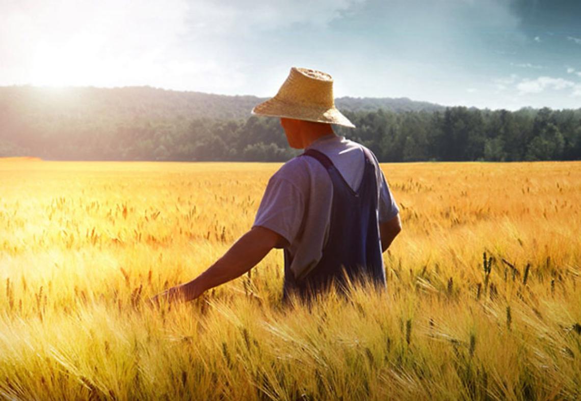 I cambiamenti climatici che modificano l'agricoltura