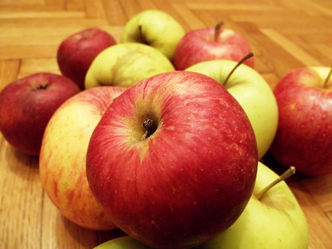 TORINO. Giornata delle mele