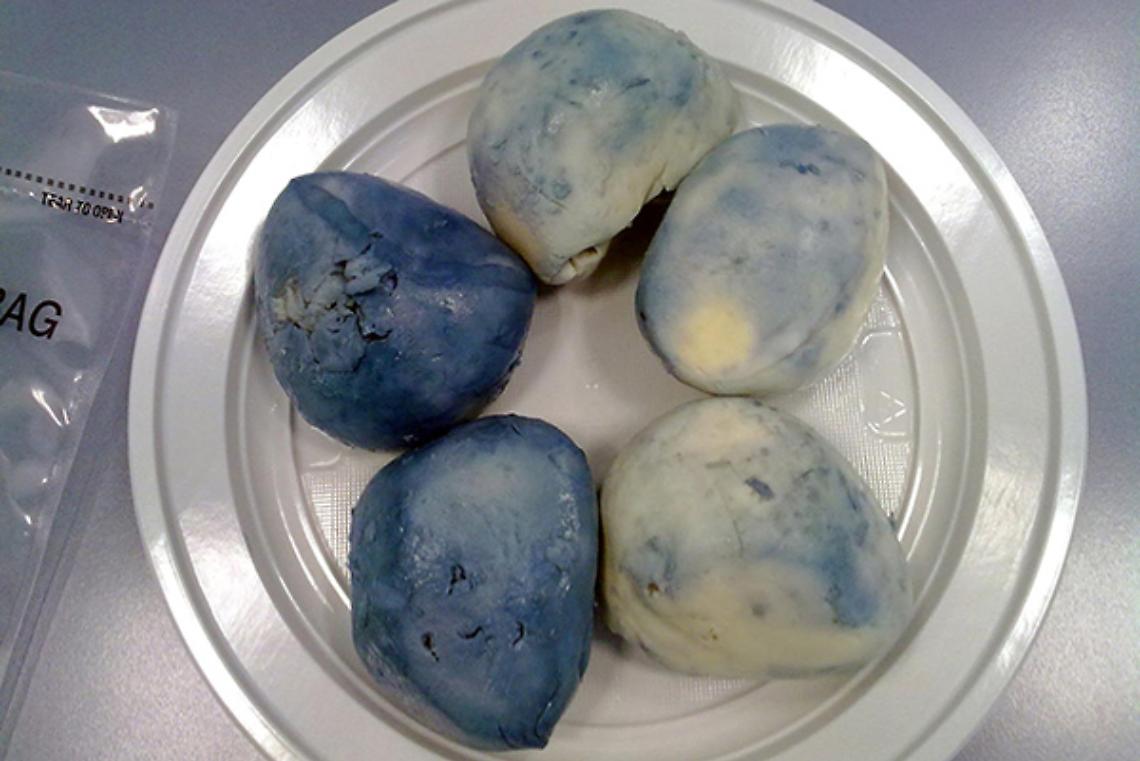 ROMA. Ecco come si chiama il batterio della mozzarella blu