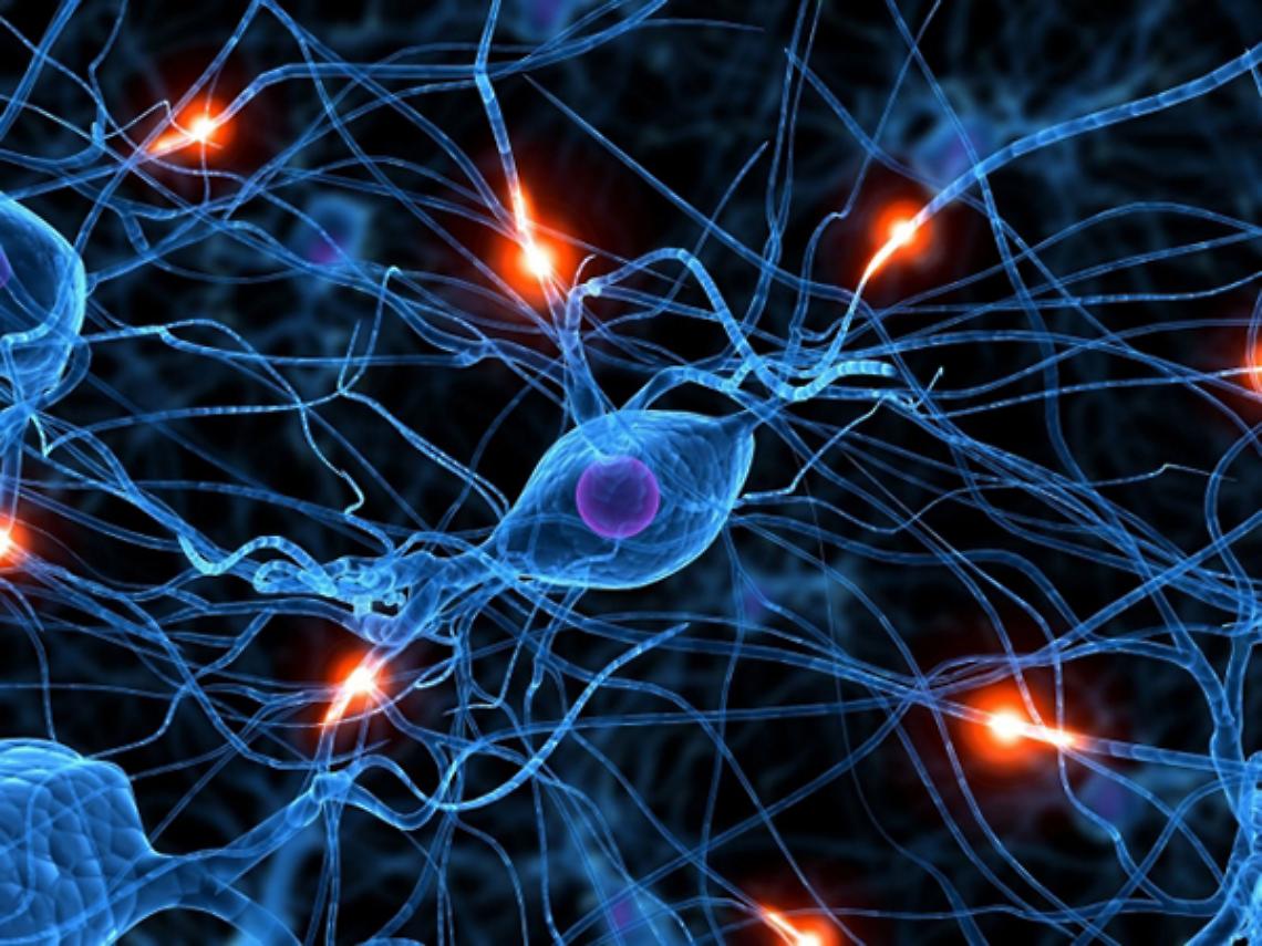 TORINO. Malato Parkinson con stimolazione cerebrale ritorna a sciare