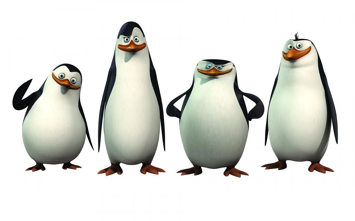 TORINO. Animali: Zoom riapre e Skipper presenta cucciolo di pinguino
