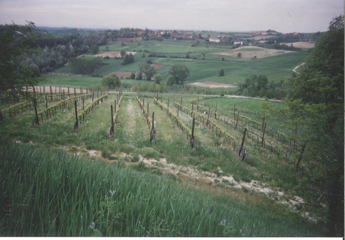 La città romana di Marcellina