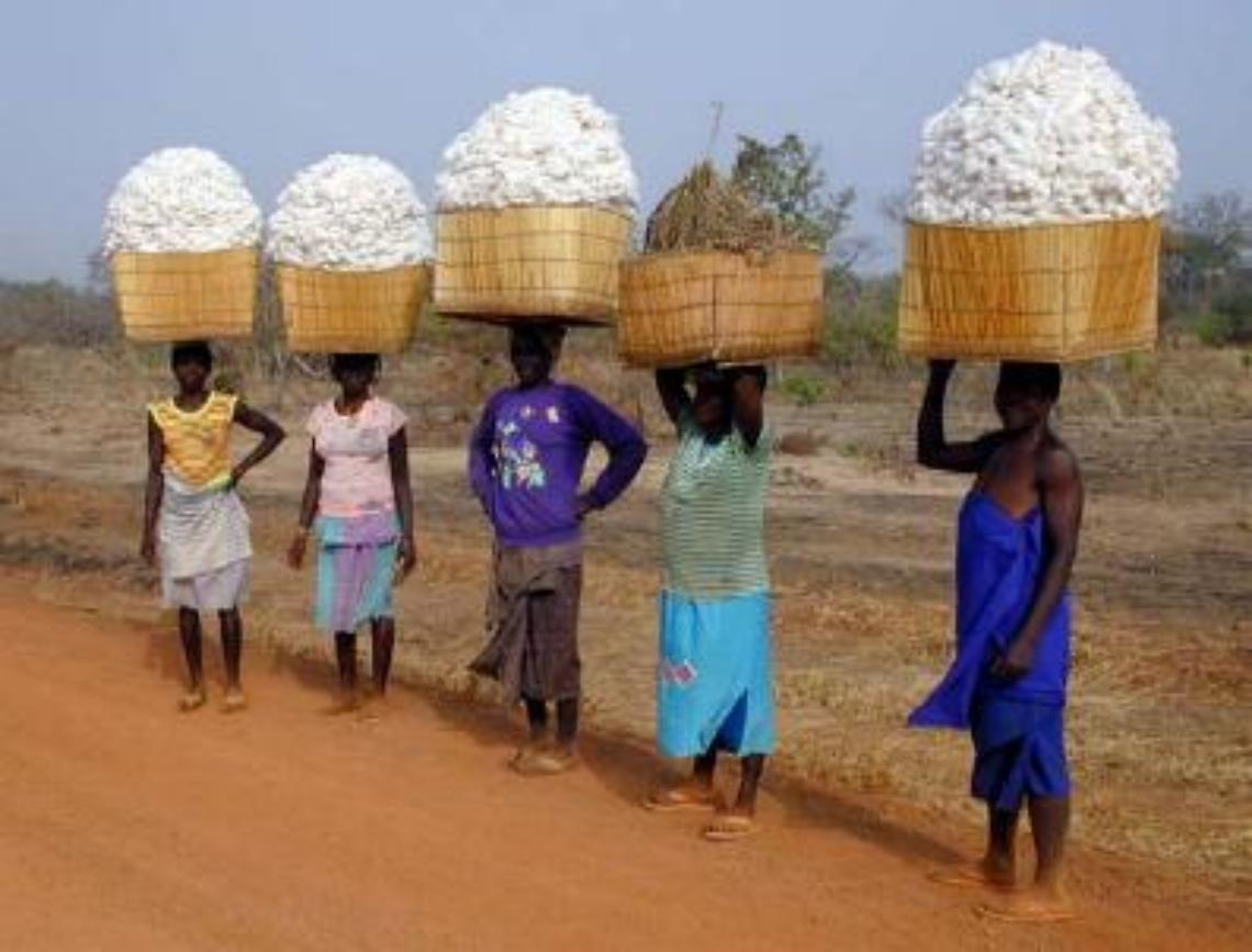 TRINO. “Giovani al centro”: cooperazione anche trinese per l’imprenditorialità giovanile in Burkina Faso