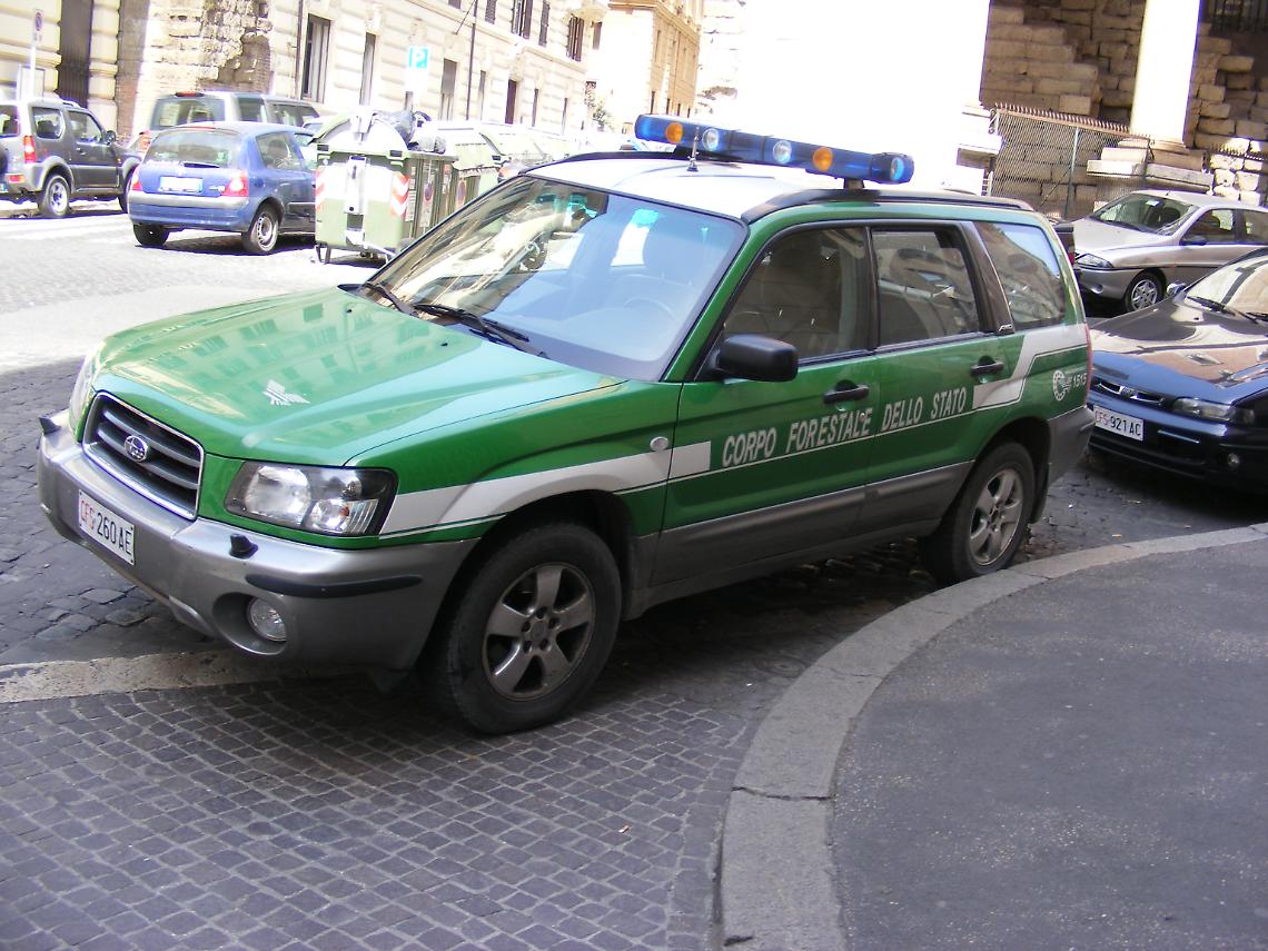 ROMA. Corpo forestale annuncia 163 roghi in tutta Italia
