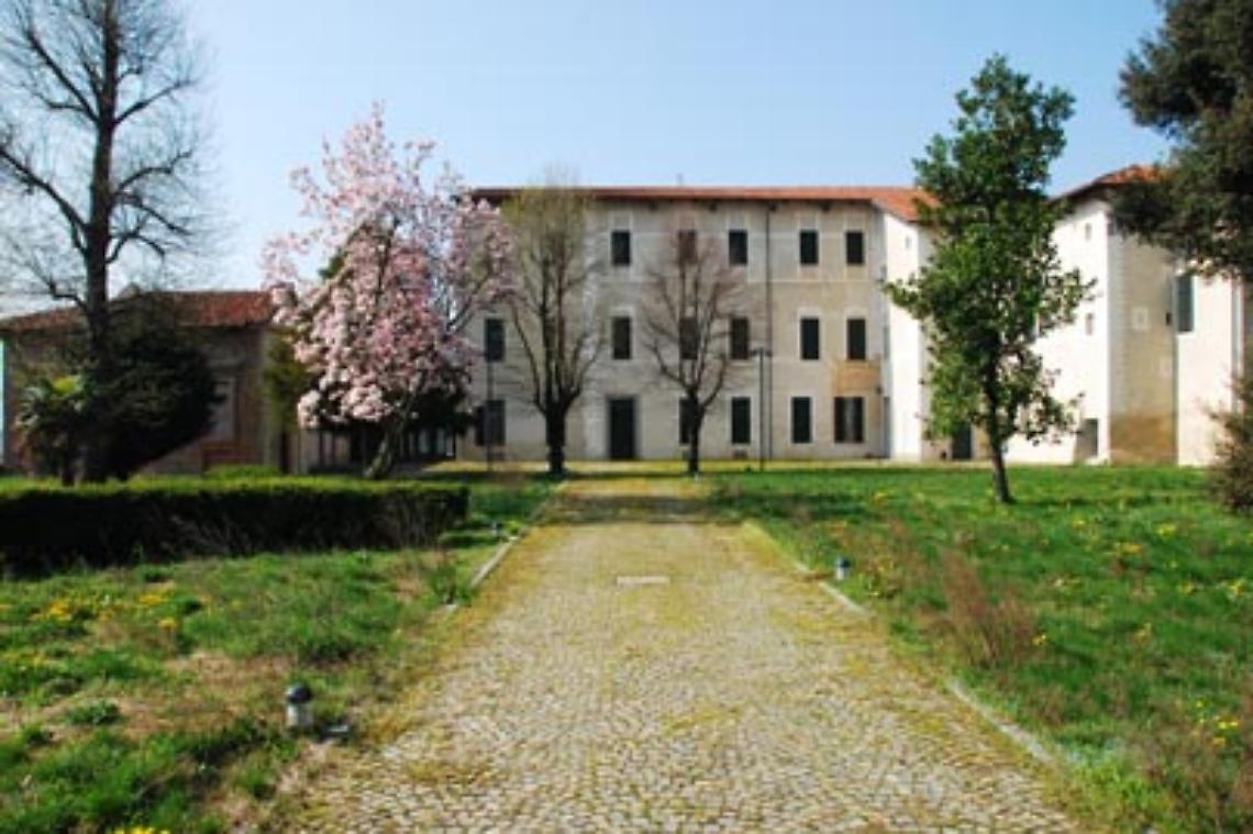 Il Castello di Vische. Il trifoglio e la "w"