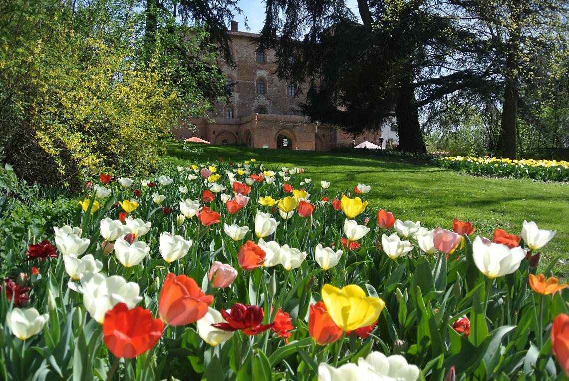 PRALORMO. Messer Tulipano 2015