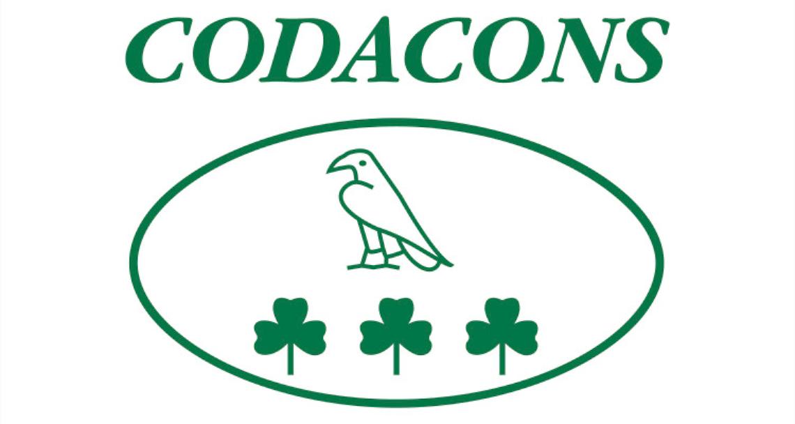 TORINO. Codacons, chi era in piazza S.Carlo chieda indennizzi