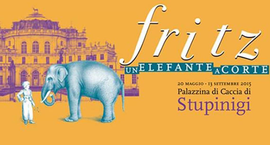 NICHELINO. Fritz, un elefante a corte