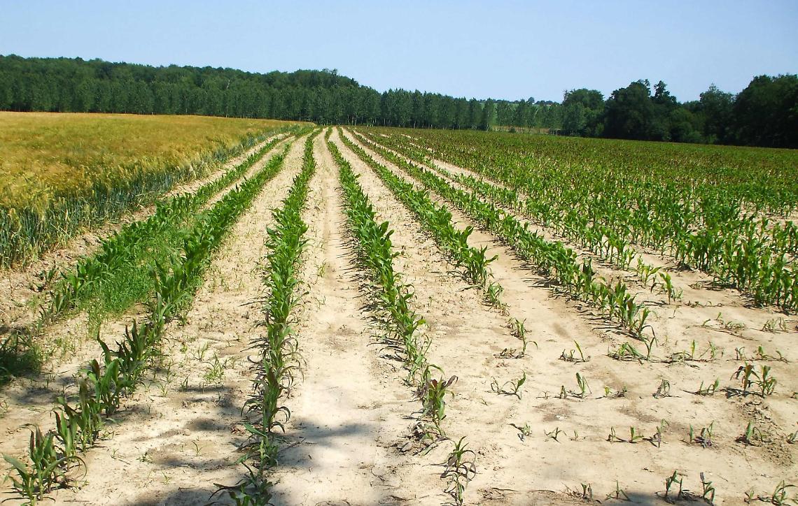 ALTO CANAVESE. "Una cosa mai successa, c'è pochissima acqua"