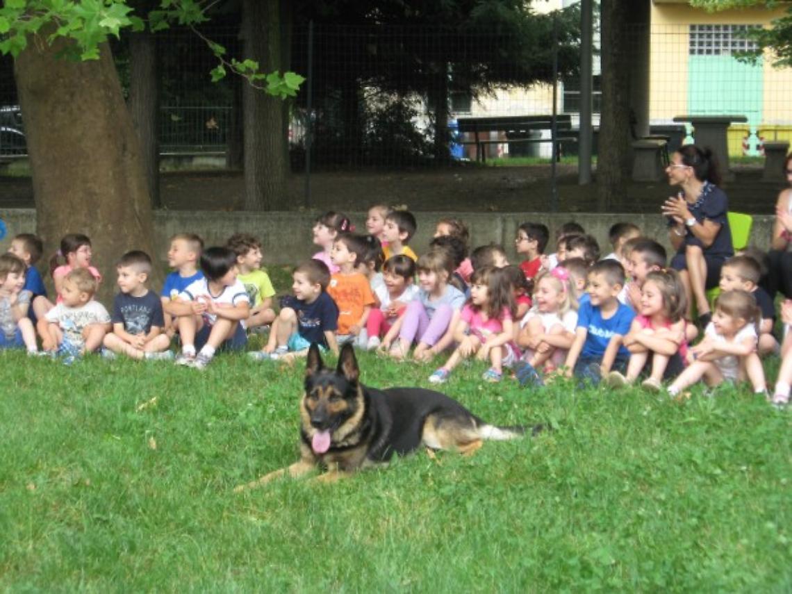 BRANDIZZO. I cani sono i migliori amici... dei bimbi