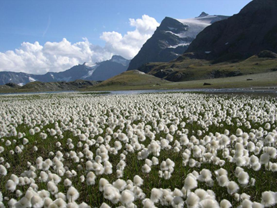 Un laboratorio con "Gran Paradiso dal Vivo"